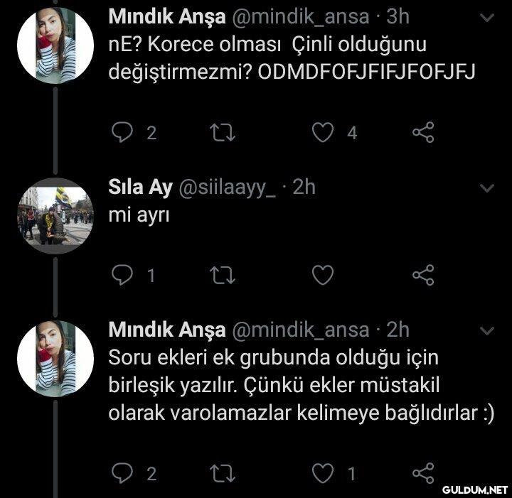Herkes dilbilimci olmuş...