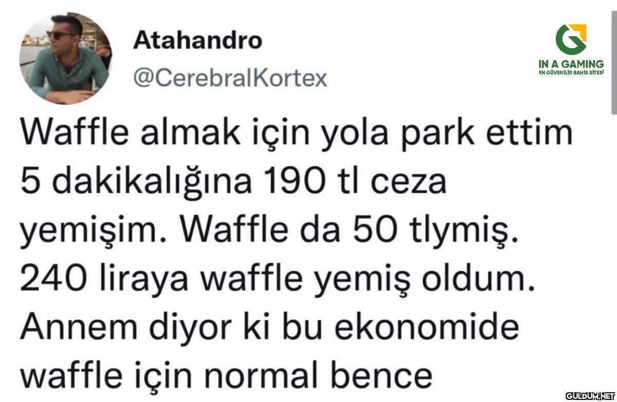 Atahandro @CerebralKortex...