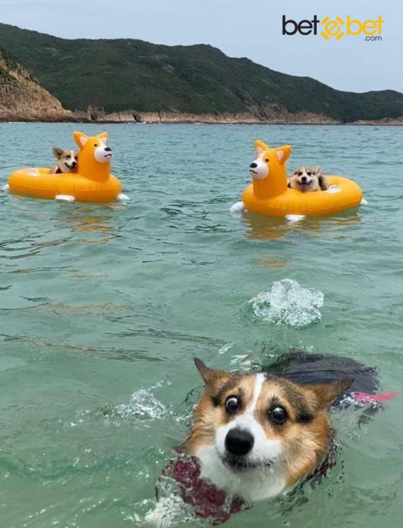 Şu şekil bi tatil benim...