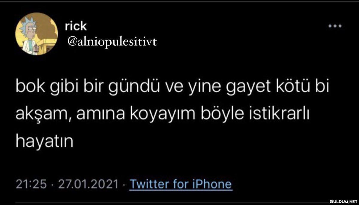 rick @alniopulesitivt bok...