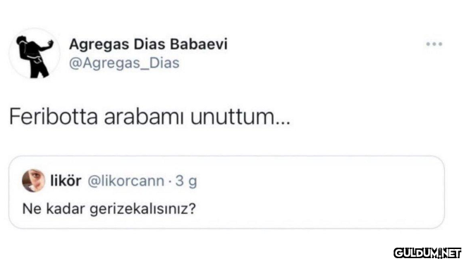 Agregas Dias Babaevi...