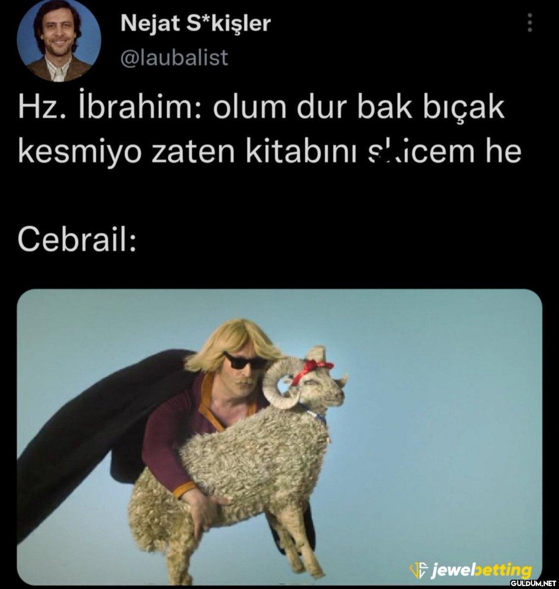 Nejat S*kişler @laubalist...