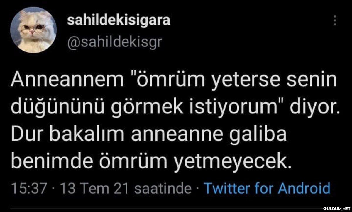 sahildekisigara...