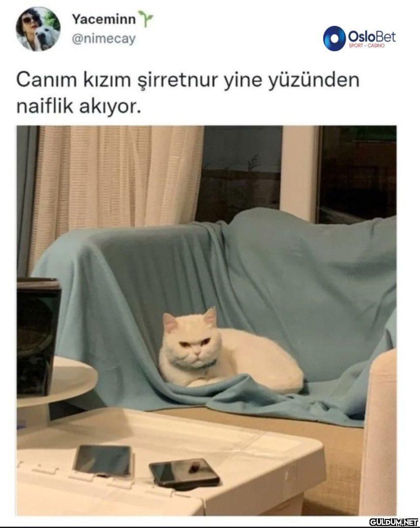 Yaceminn @nimecay OsloBet...