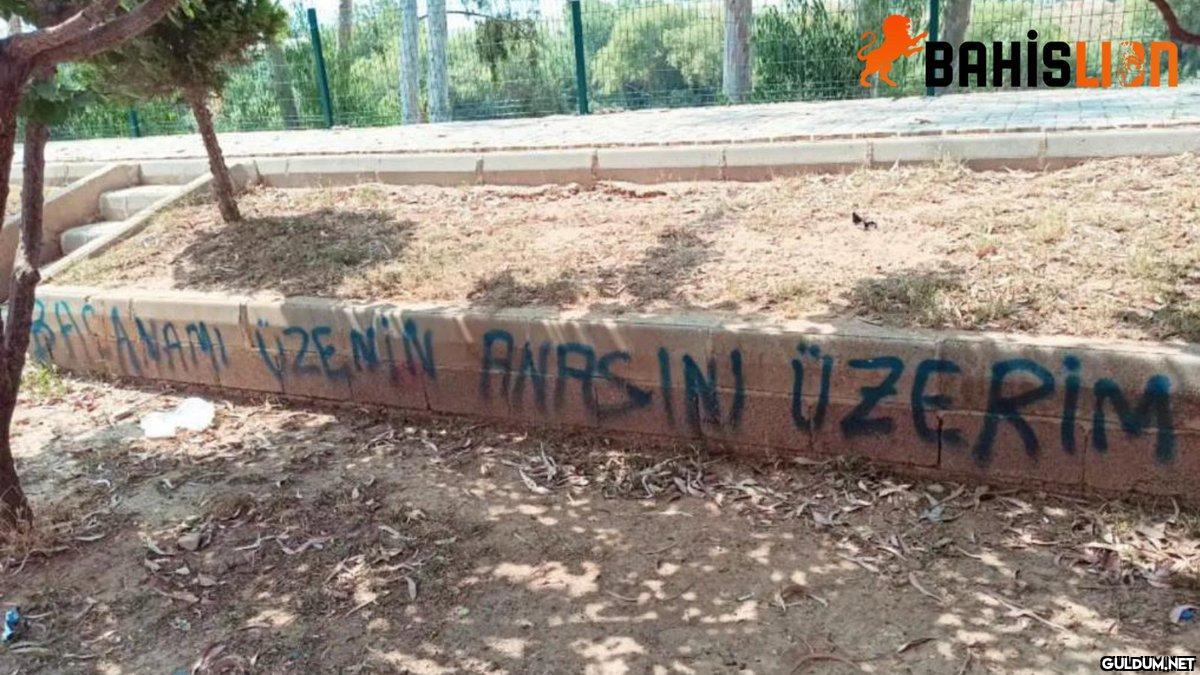 Bacana mı üzenin anasını...