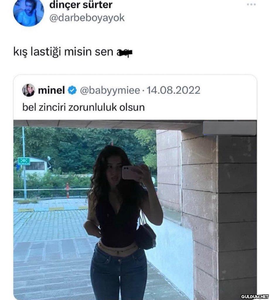 dinçer sürter...