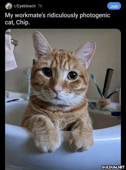 r/Eyebleach 7h My...
