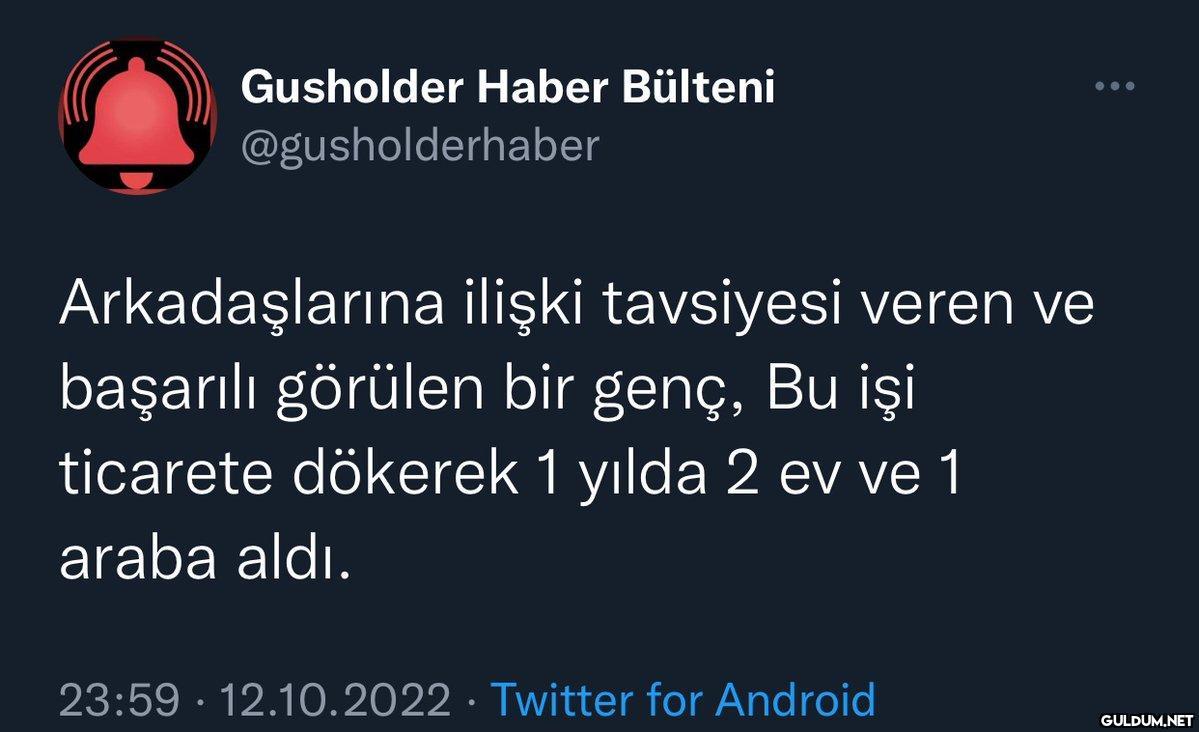 Gusholder Haber Bülteni...