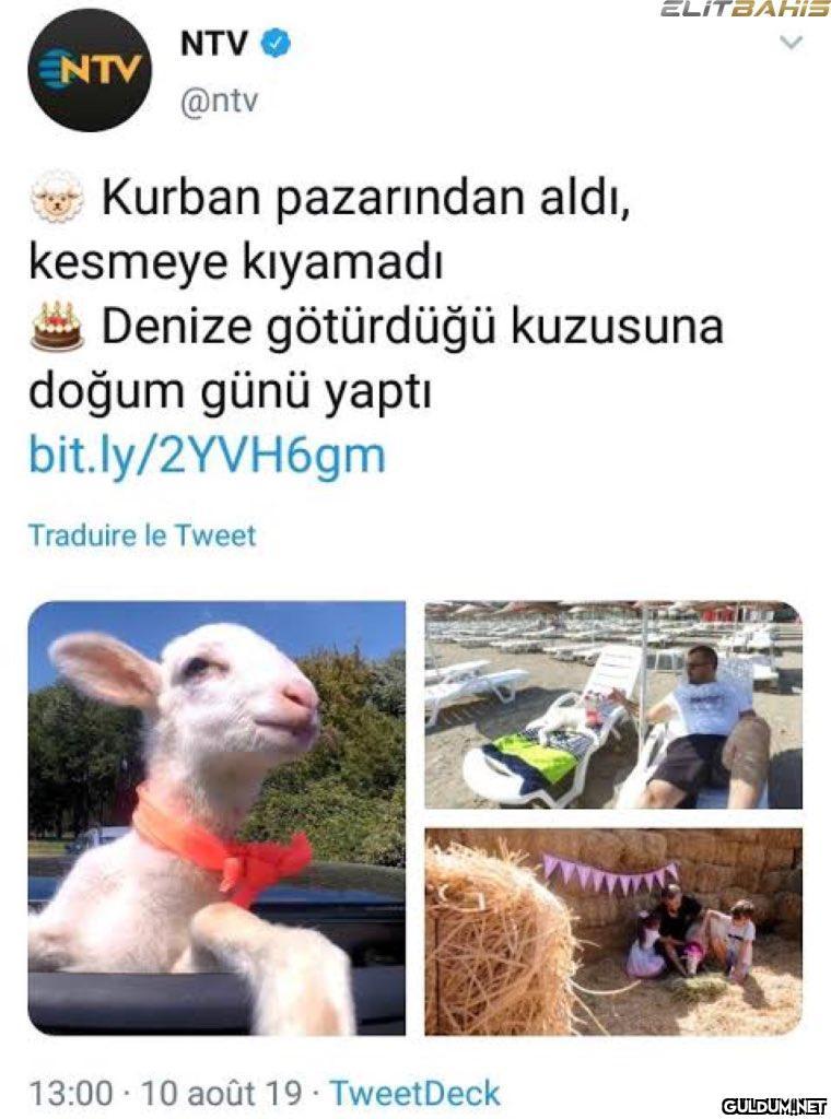 https://t.co/TBFDBQDCrr  ...