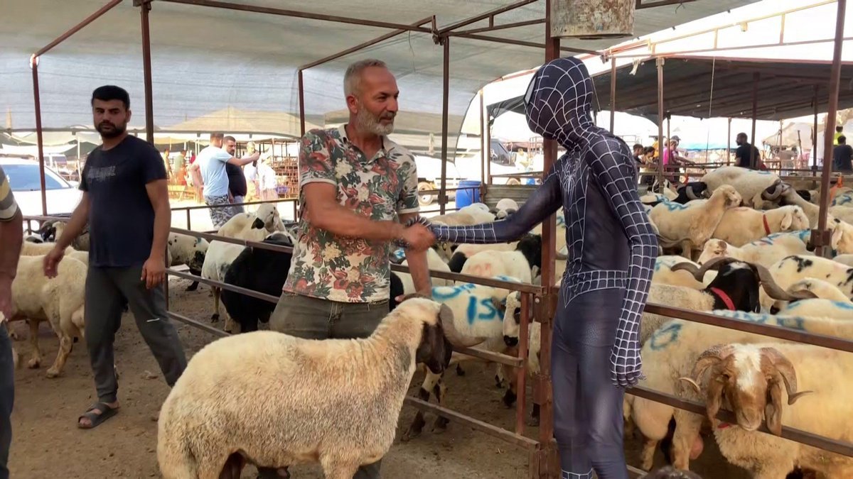 kurban bayramınız kutlu...