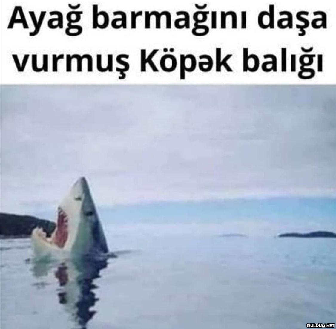 Ayağ barmağını daşa vurmuş...