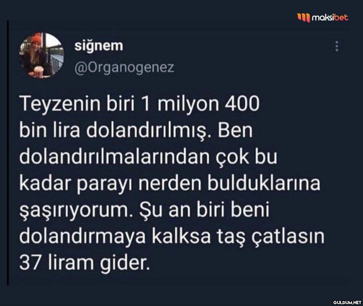 siğnem @Organogenez...