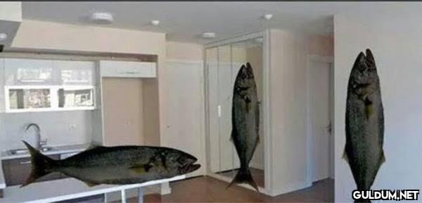 SATILIK KARALÜFERLİ DAİRE...