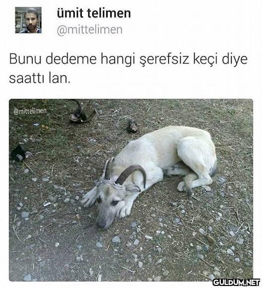 https://t.co/9asx11CIgt  ...