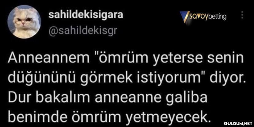 https://t.co/AmcUxVysdc  ...