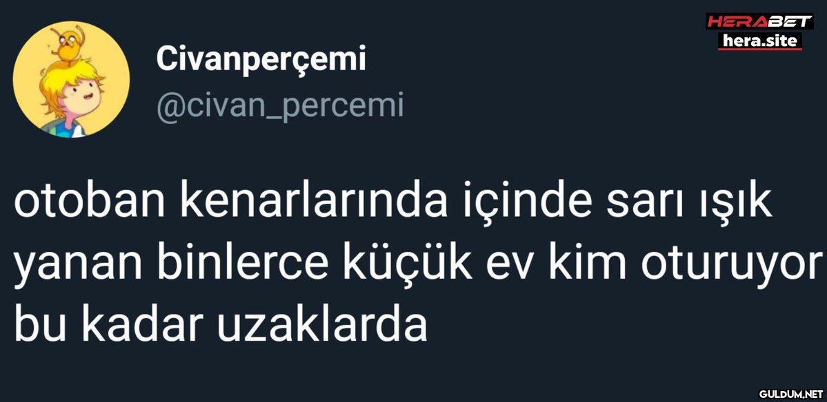 Civanperçemi...