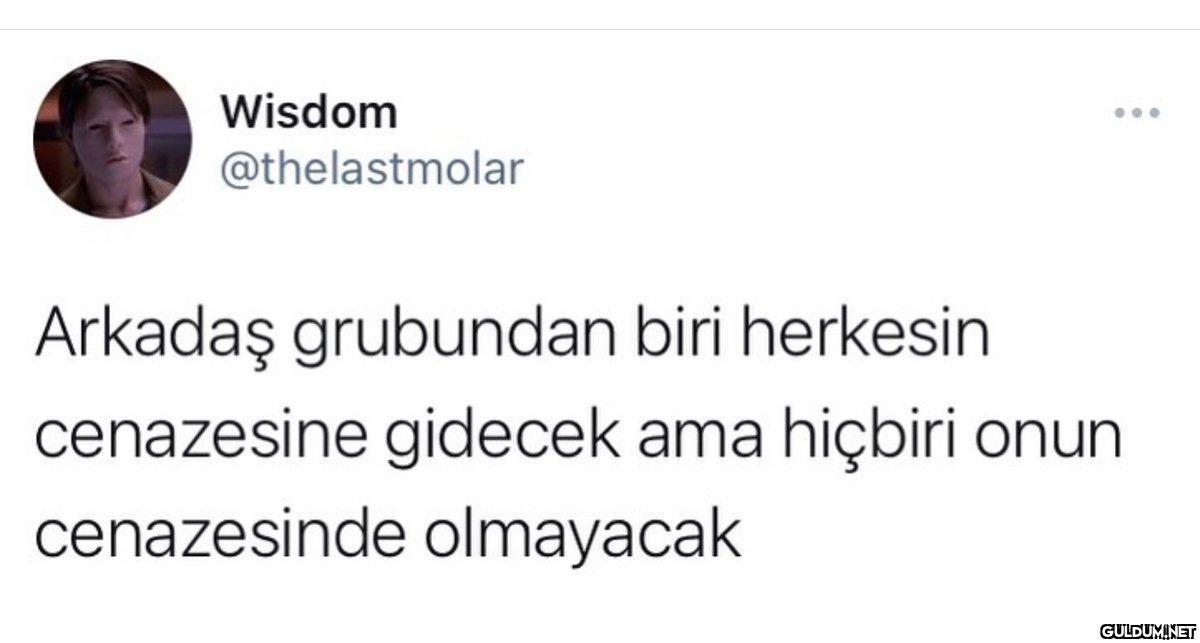 Wisdom @thelastmolar ......