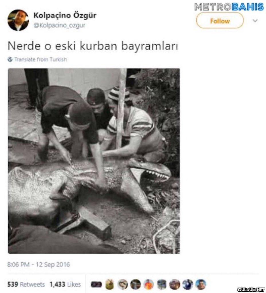Kolpaçino Özgür...