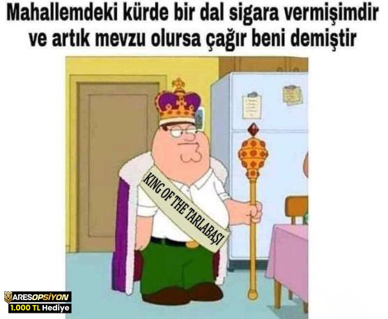 Mahallemdeki kürde bir dal...