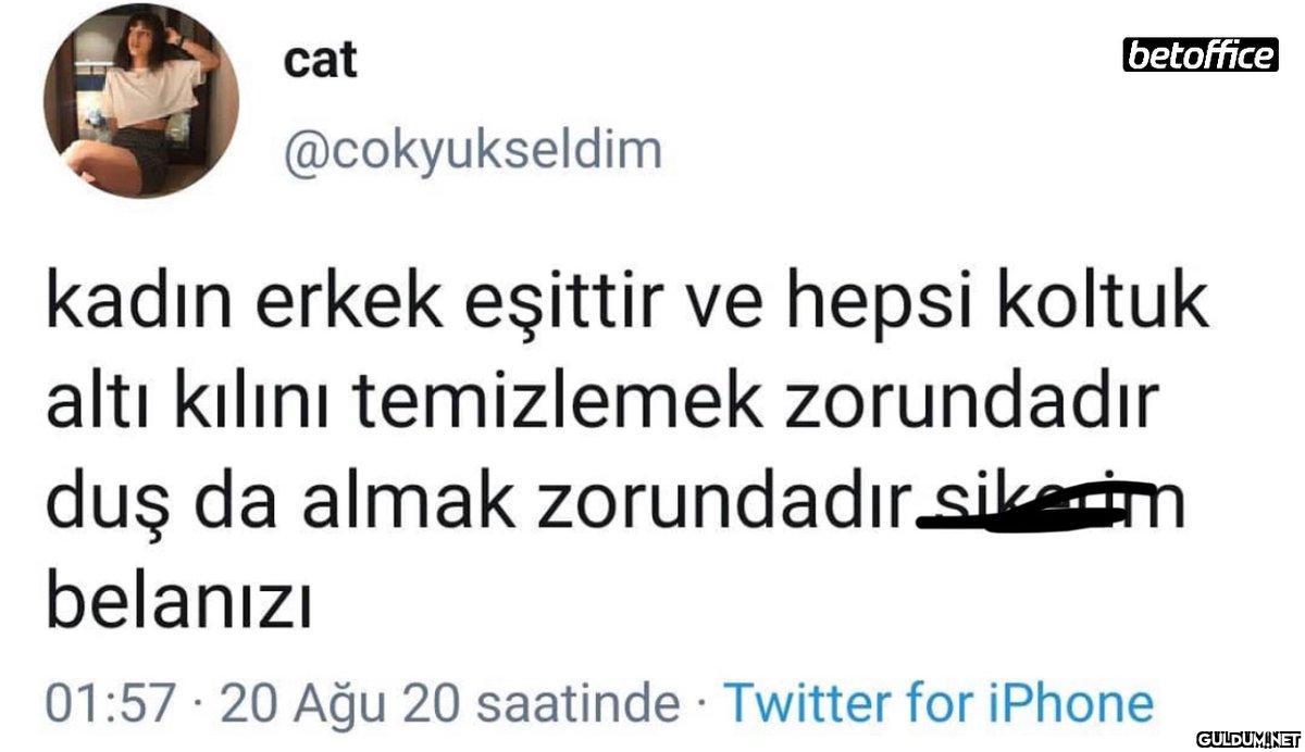 cat @cokyukseldim...