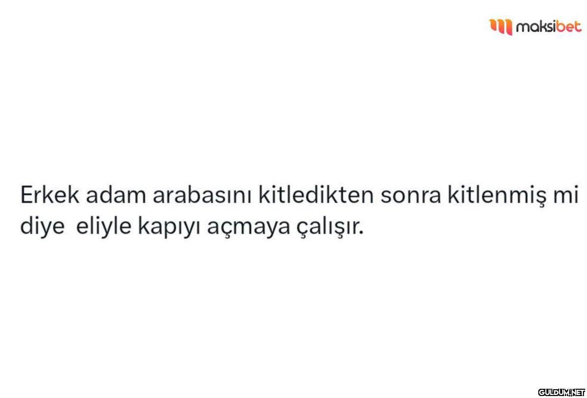 maksibet Erkek adam...
