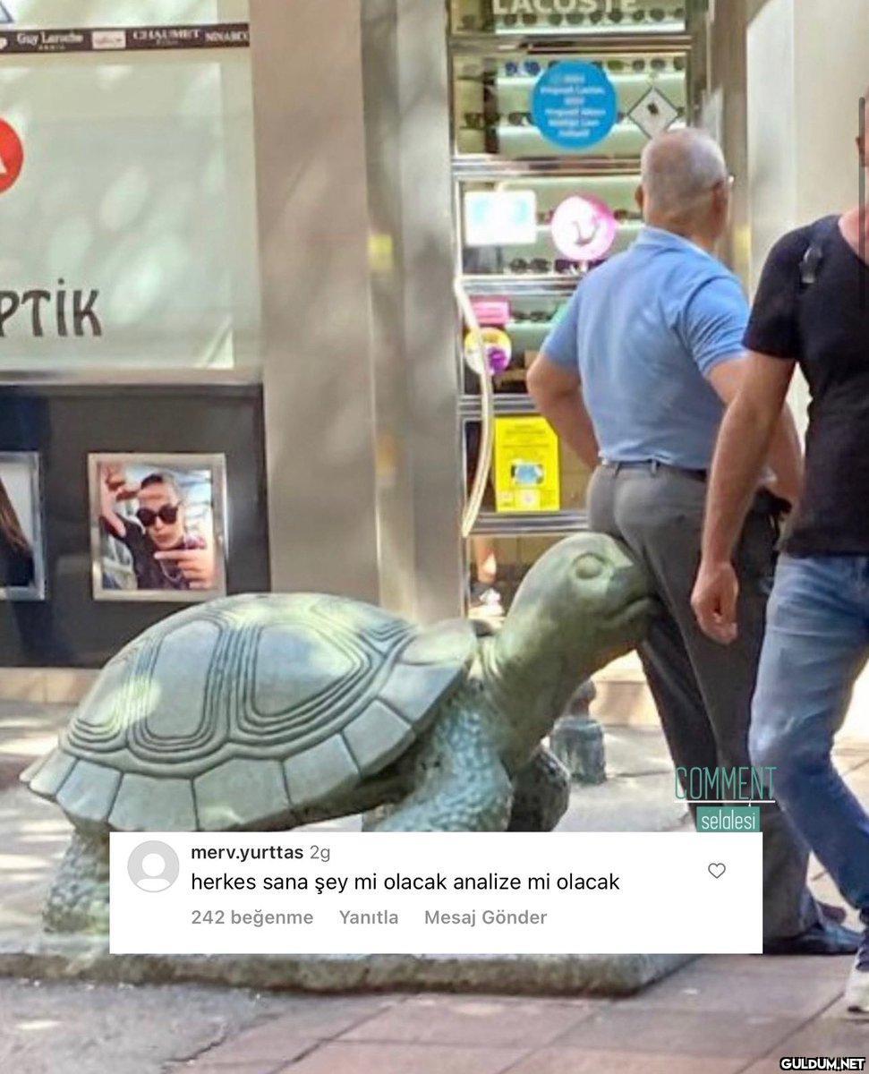 comment şelalesi 8404...