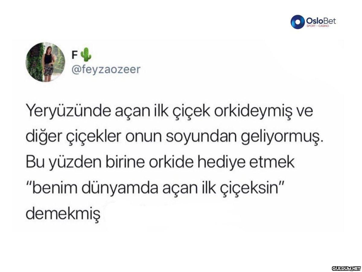 FU @feyzaozeer OsloBet...