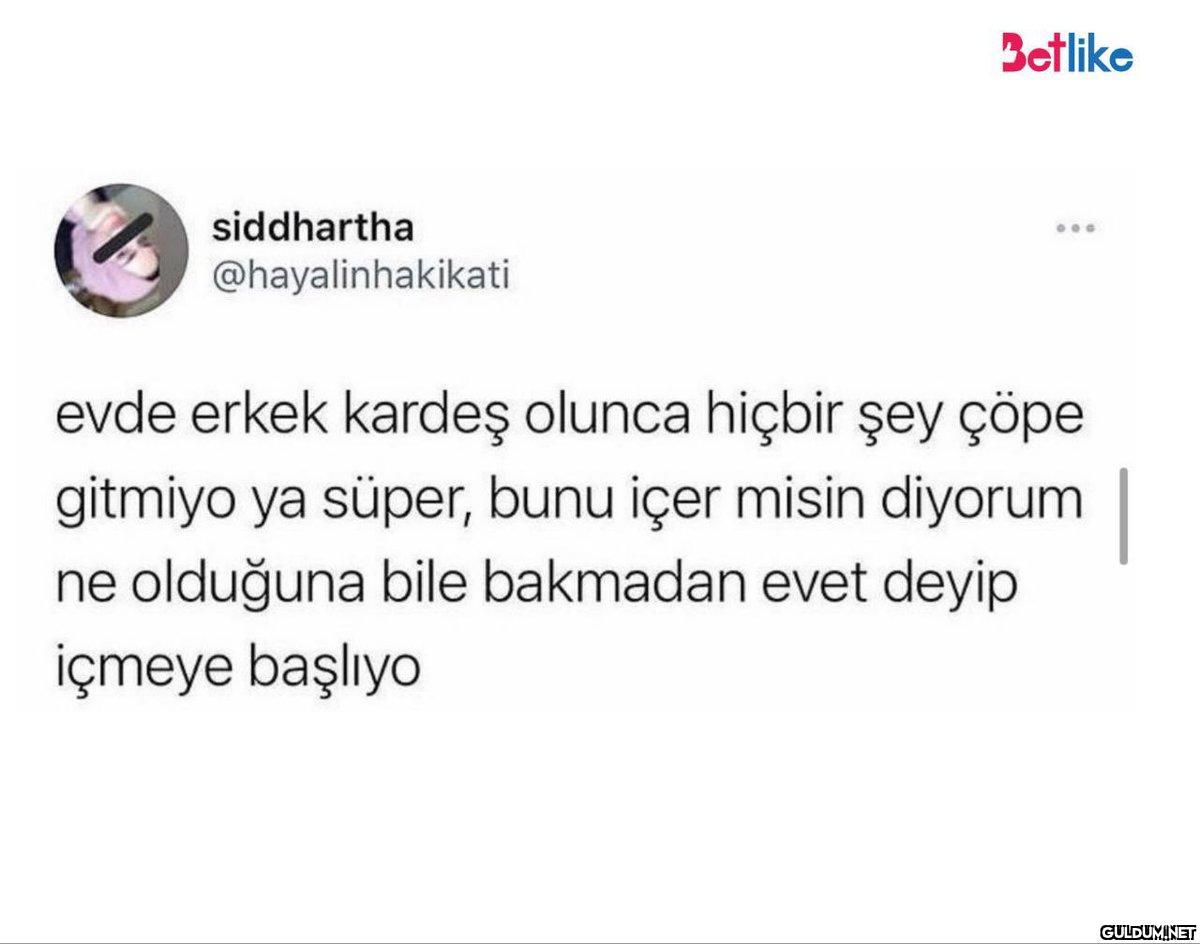 siddhartha...