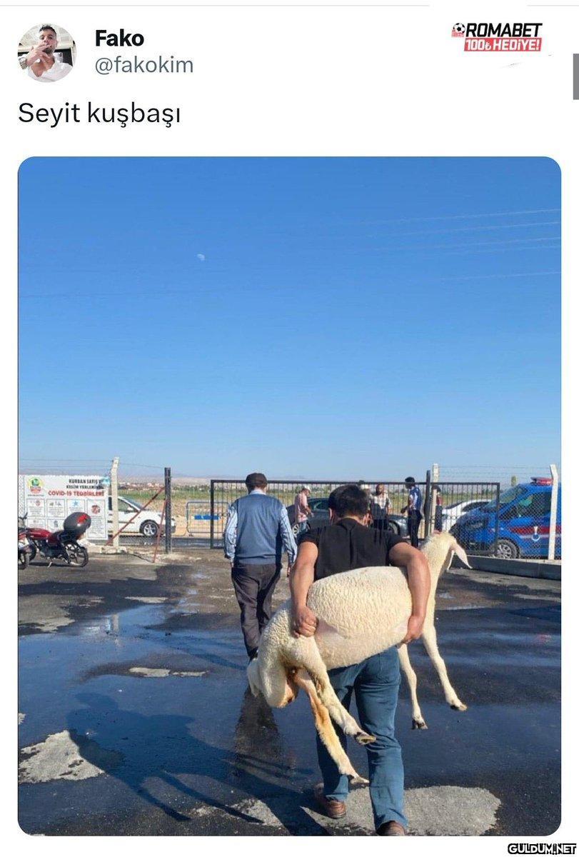 https://t.co/LZXzKLW0Cu  ...