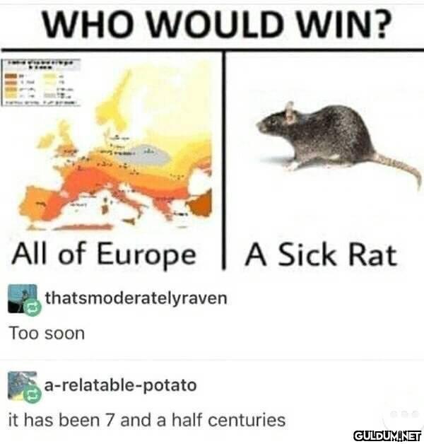 https://t.co/zXjc1BDofS ...