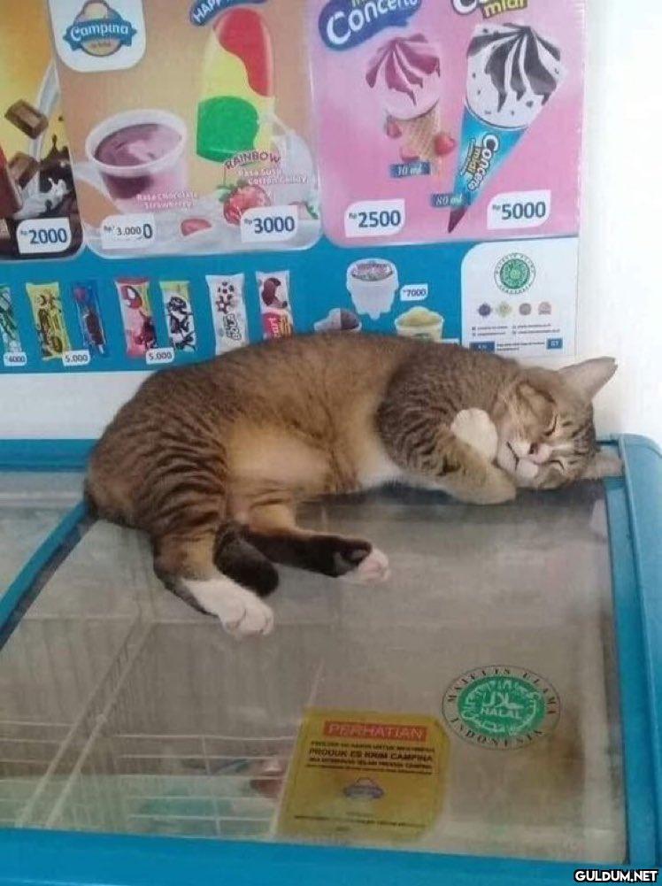 kendine sarılıp uyuyan...