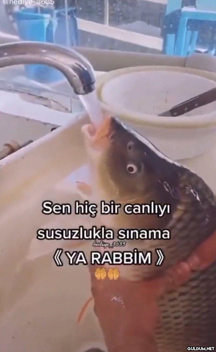@hediye 3635 Sen hiç bir...