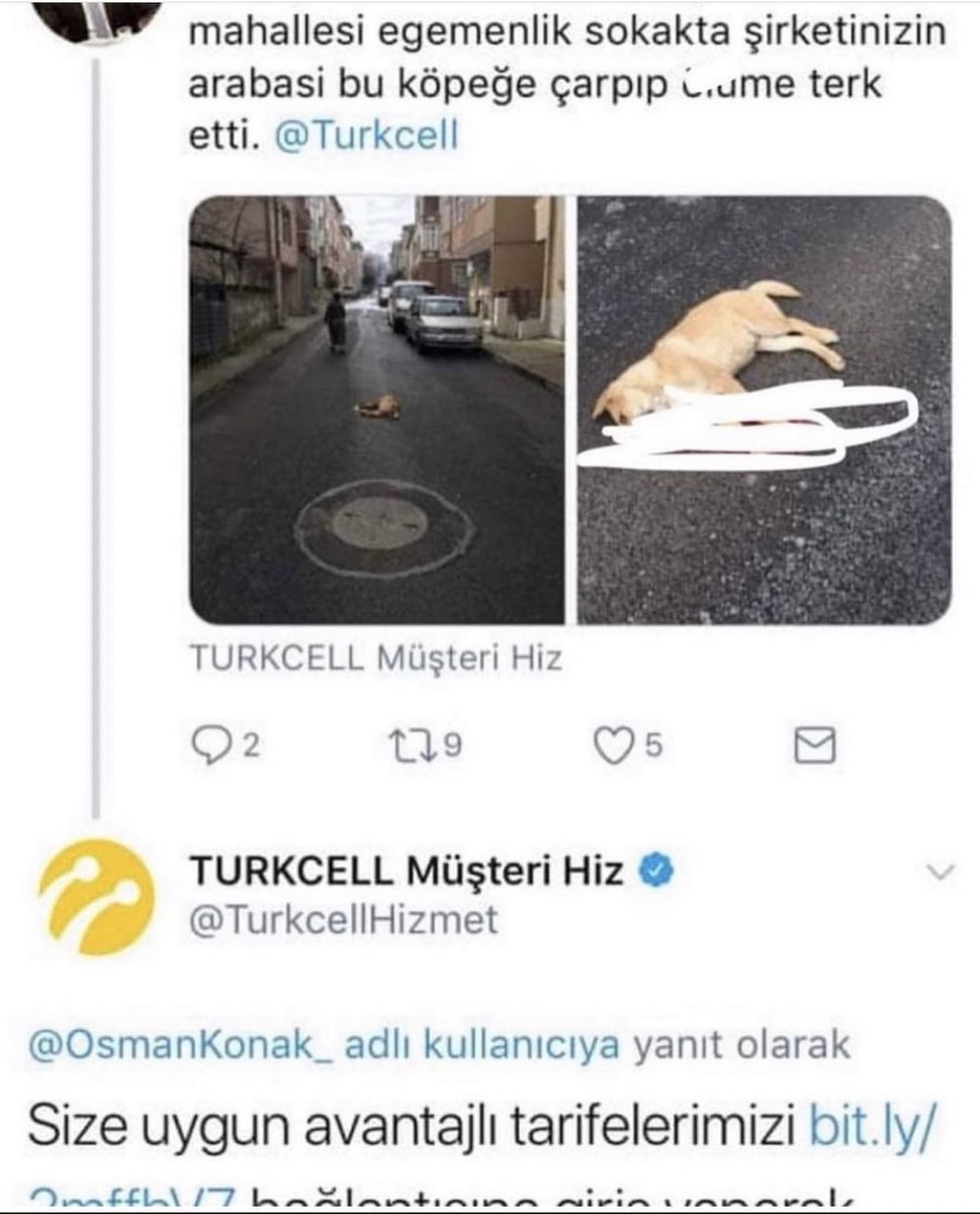 mahallesi egemenlik...