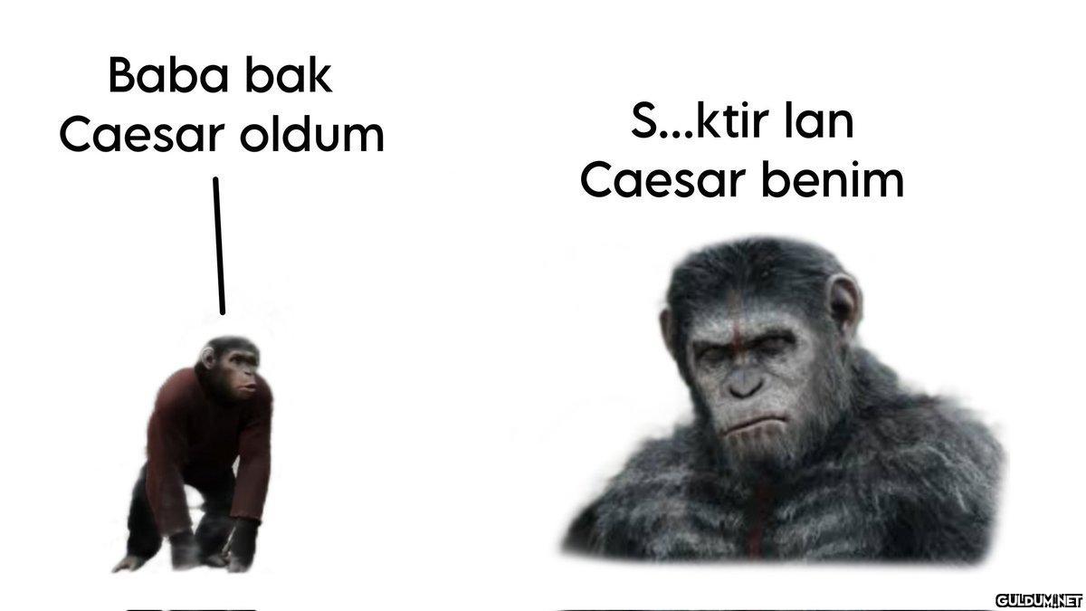 https://t.co/afvwUi8W8G  ...