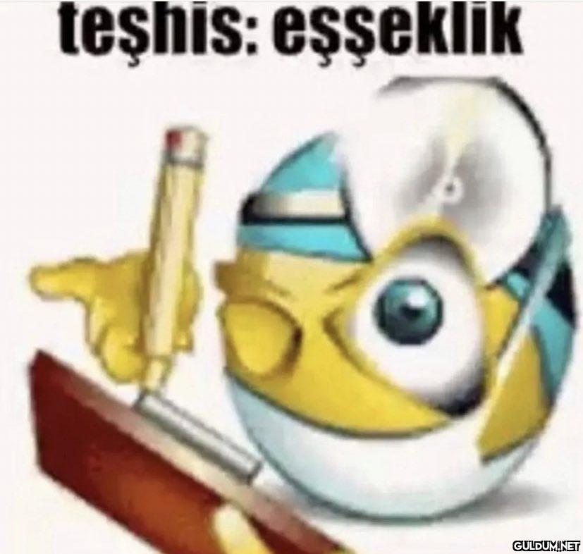 teşhis: eşşeklik   Kaynak