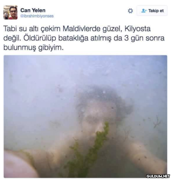 Can Yelen @ibrahimblyonses...