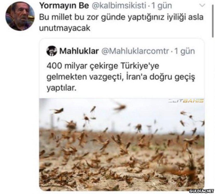 https://t.co/cWACOfwcvv  ...