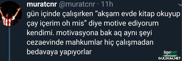 https://t.co/dn82OqYTYu  ...