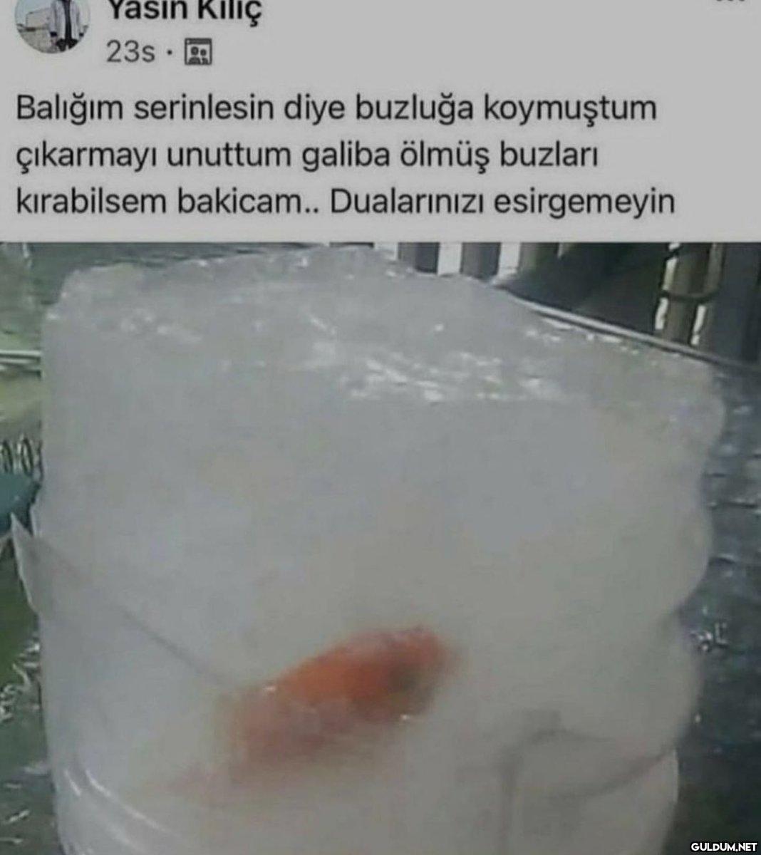 https://t.co/c8calHa5mU ...