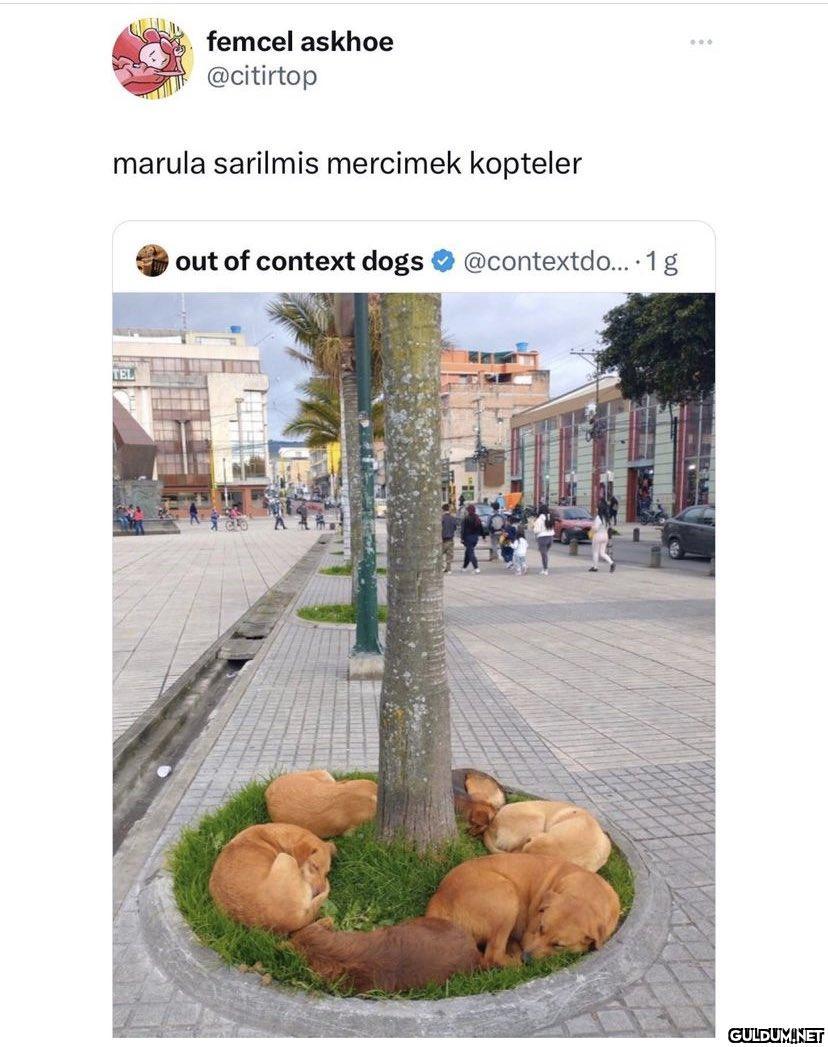 Günaydın...