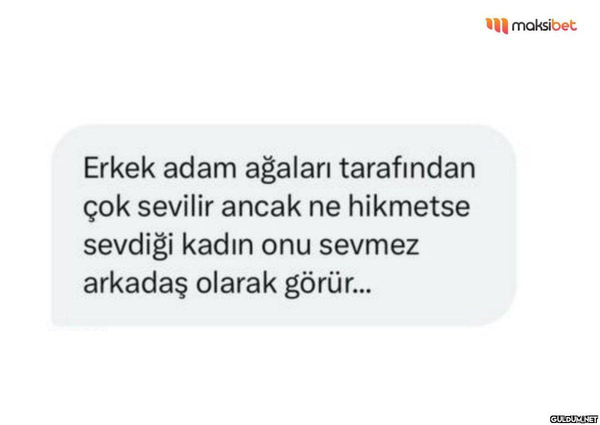 Erkek adam ağaları...