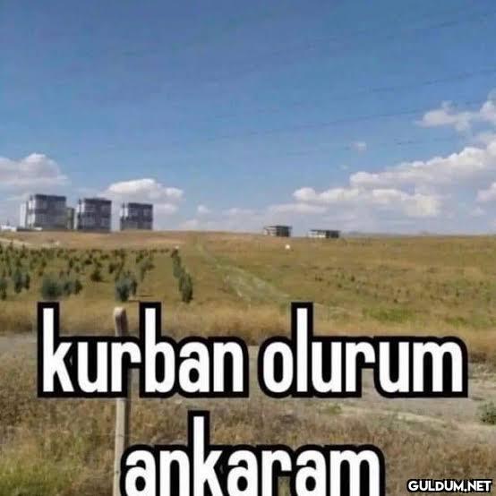 651-) Ankara...