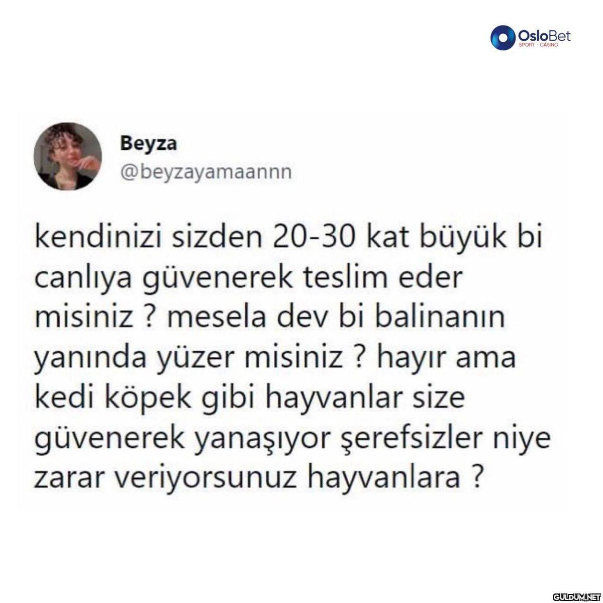 Beyza OsloBet SPORT-CASINO...