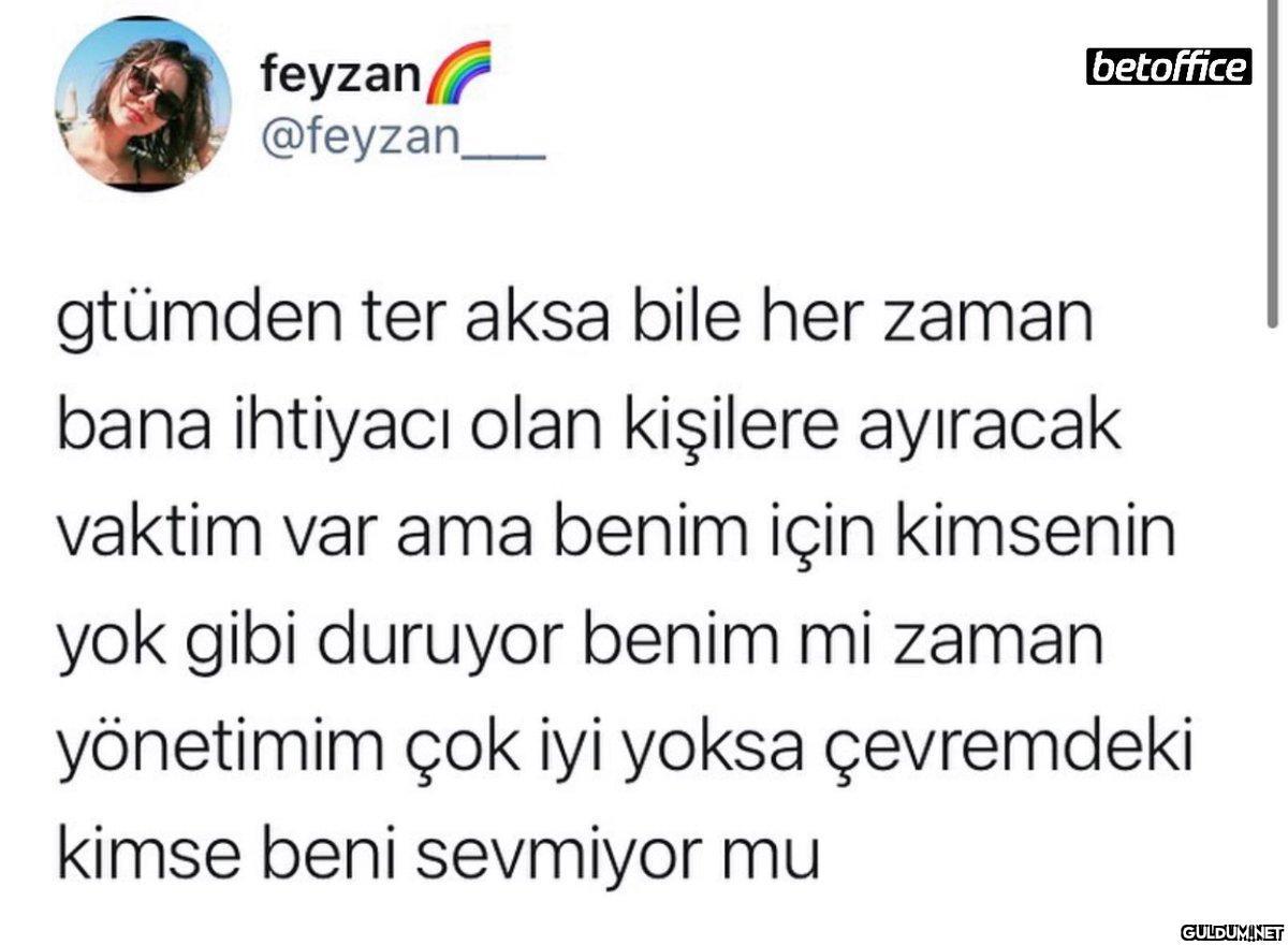 feyzan @feyzan betoffice...