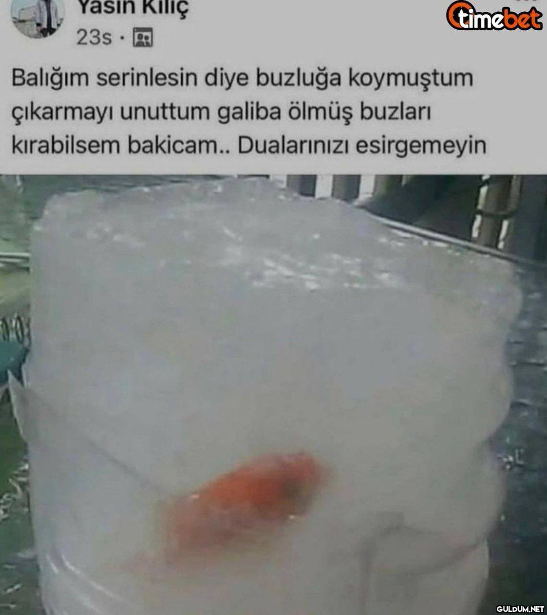 Yasin Kılıç 23s 10)...