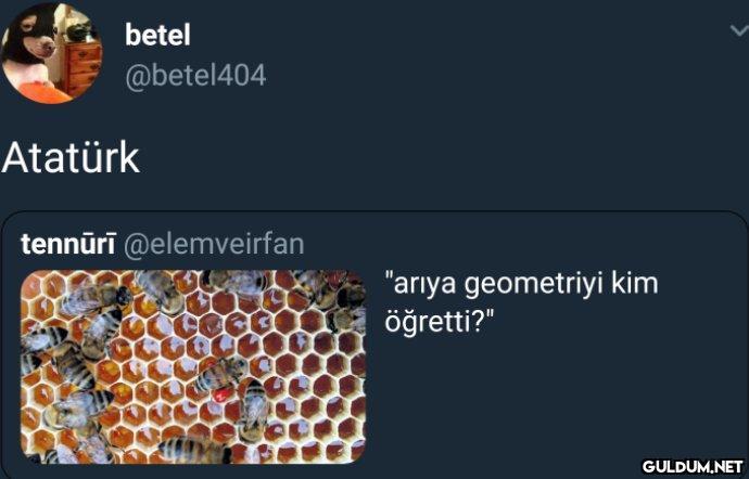 betel @betel404 Atatürk...
