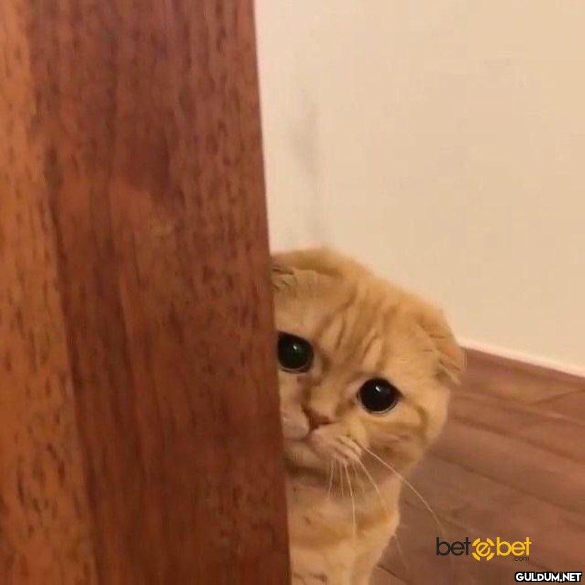 Mood...