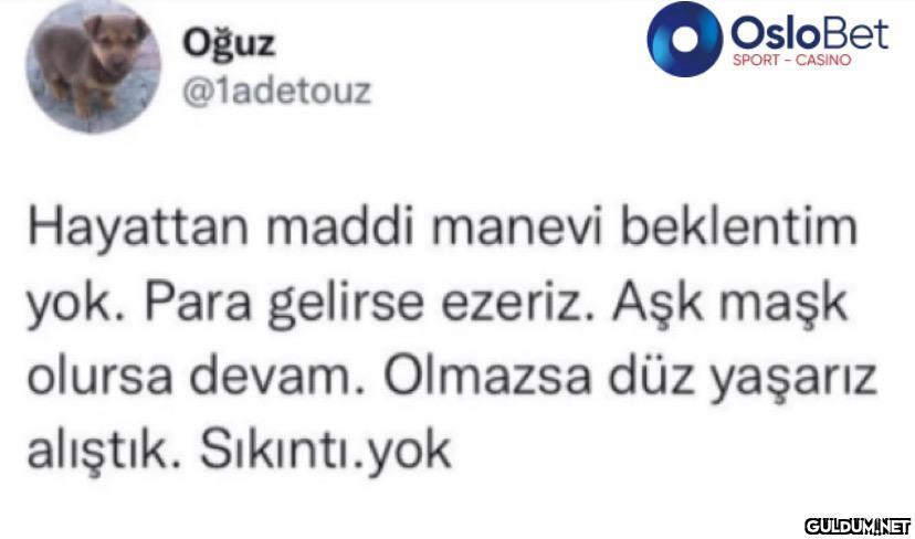 Oğuz @1adetouz OsloBet...