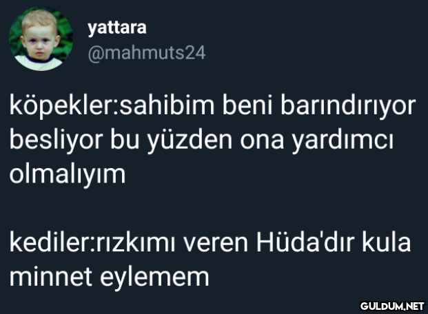 yattara @mahmuts24...