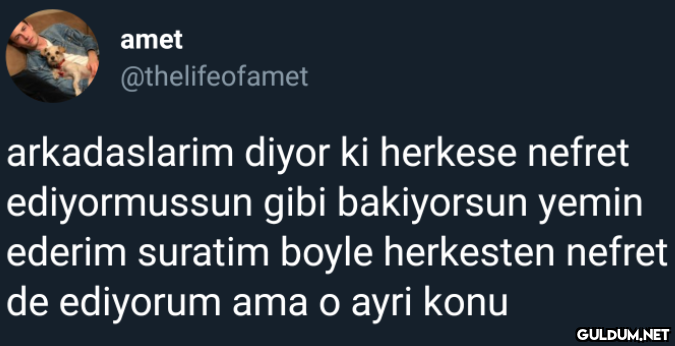 amet @thelifeofamet...